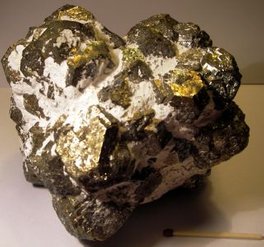 Pyrit, fundet i Stevns Kridtbrud 